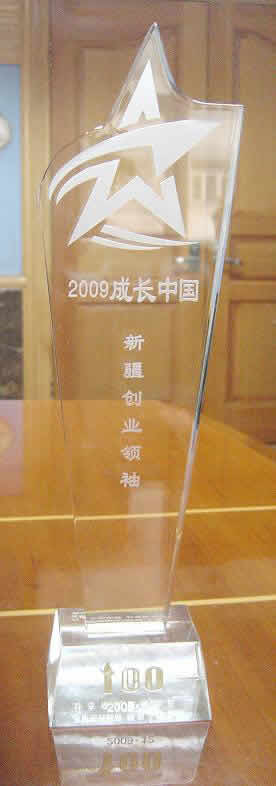 2009成長中國·新疆創(chuàng)業(yè)領袖獎